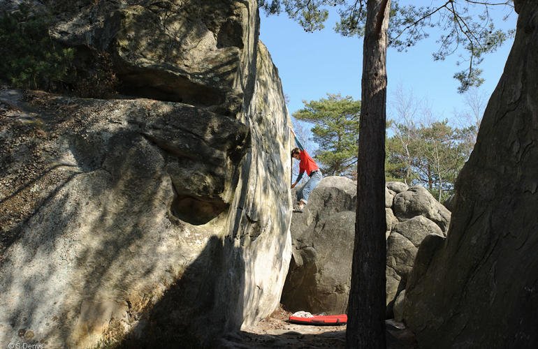 Fontainebleau