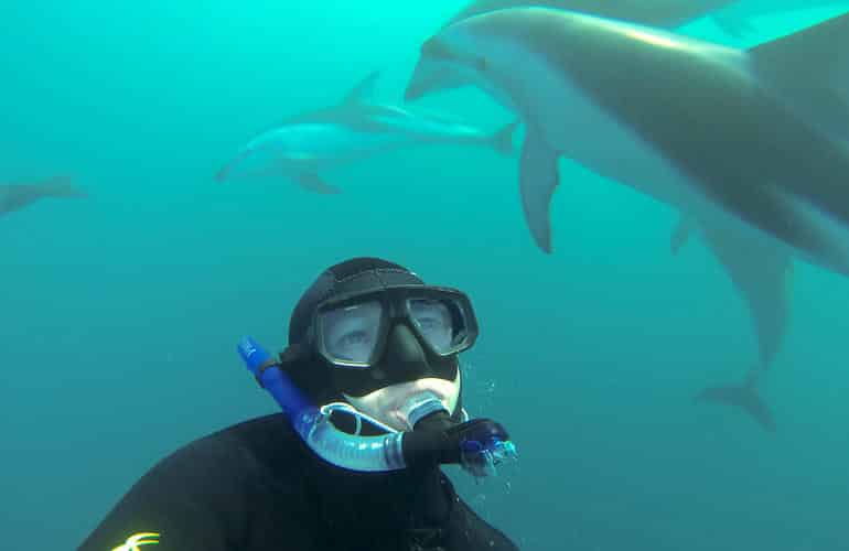 Nuotare con i delfini in Nuova Zelanda