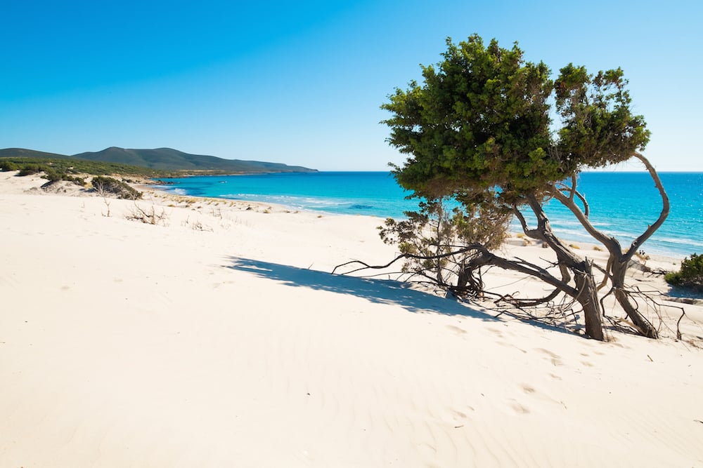 Kitesurf in Sardegna, Italia