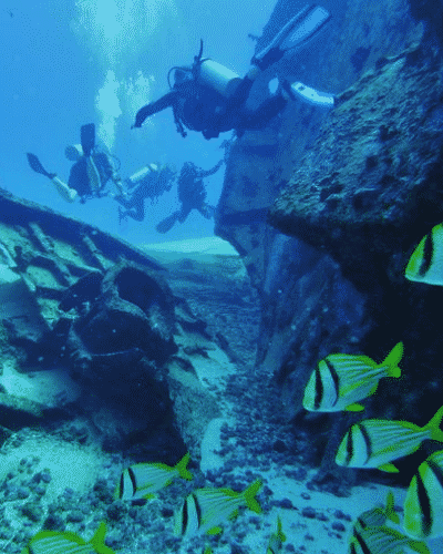 I luoghi più belli per la tua prima immersione subacquea