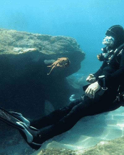Immersione con un calamaro a Heraklion