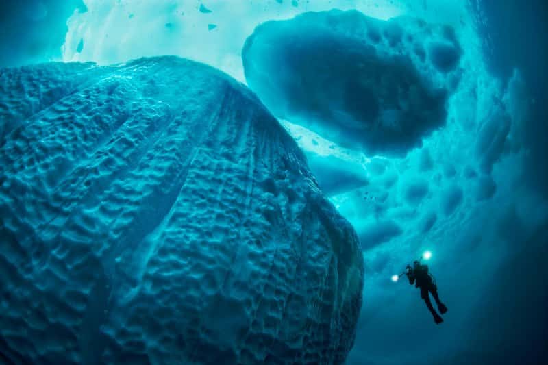 Tuffo nel ghiaccio a nuoto lungo un iceberg in acqua cristallina con in mano una videocamera con luci accese, fiordo di Tasiilaq, Groenlandia orientale, Oceano Atlantico, Artico, riscaldamento globale.