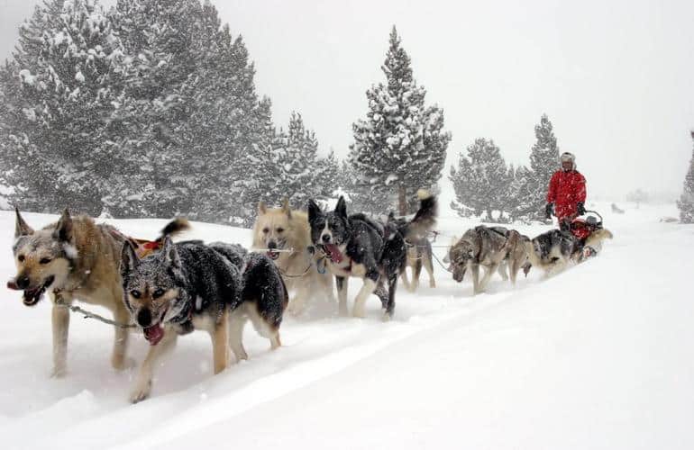 Slitta trainata da cani in Andorra