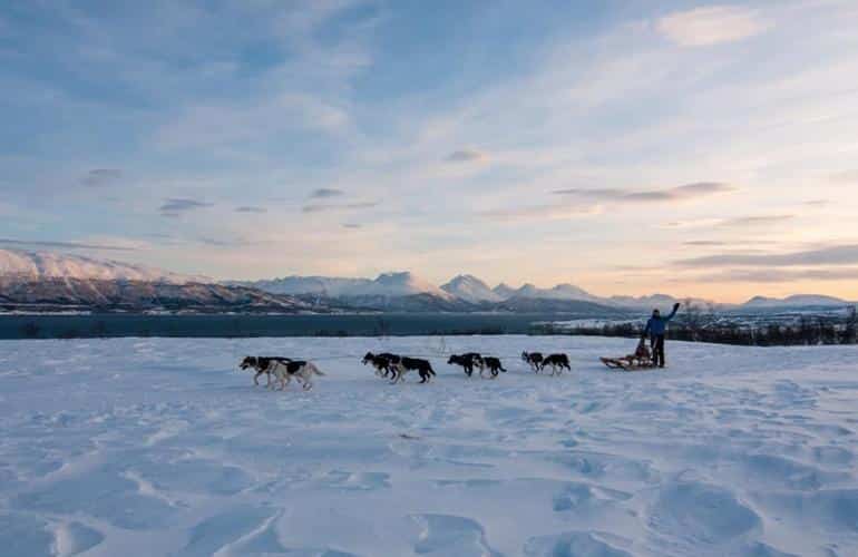 Slittino per cani a Tromsö, Norvegia