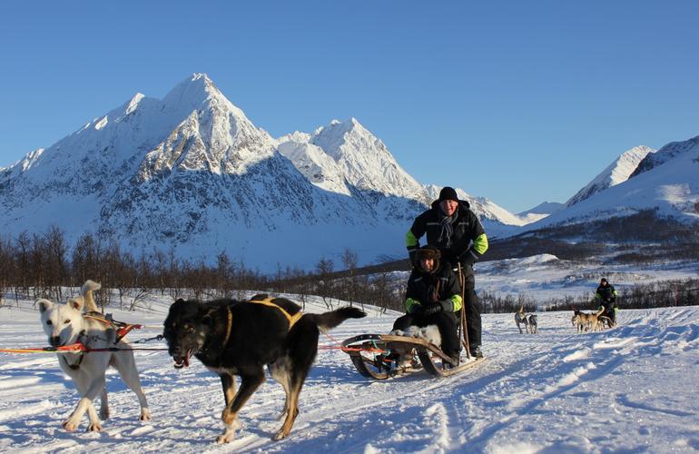 Slitta trainata da cani a guida autonoma 