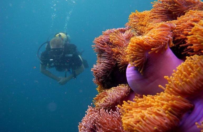 Corso PADI Open Water a Khao Lak