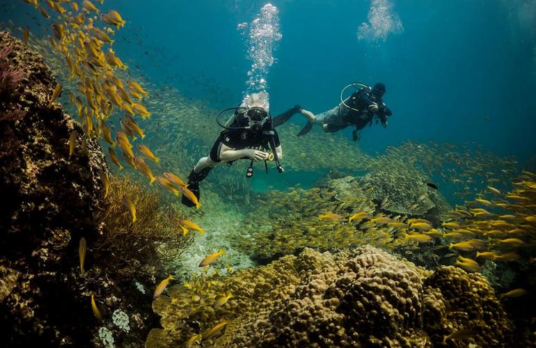 Koh Racha Yai plongée sous marine
