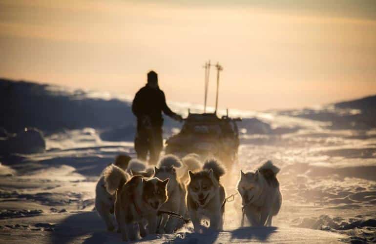 Dove andare in slitta trainata da cani in Europa?