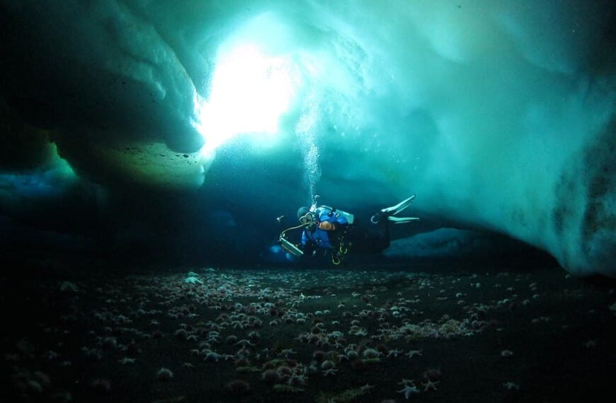 La guida completa all’immersione su ghiaccio