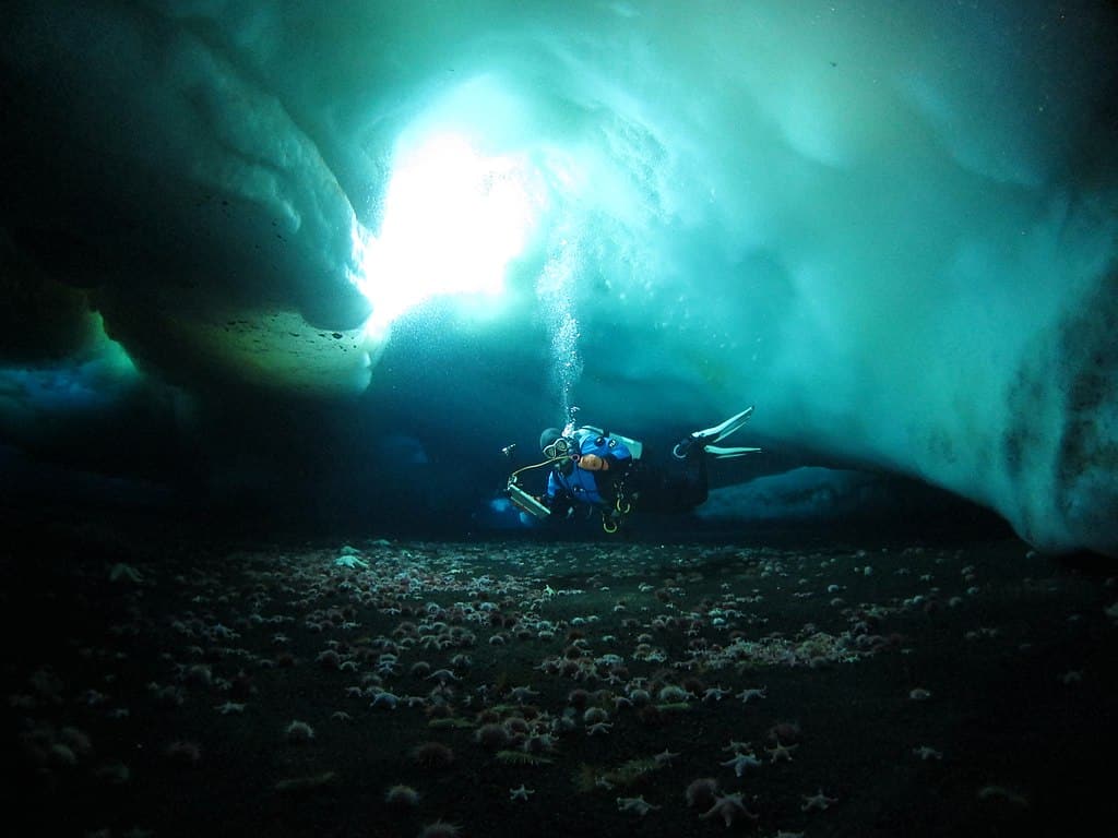 La guida completa all'immersione su ghiaccio