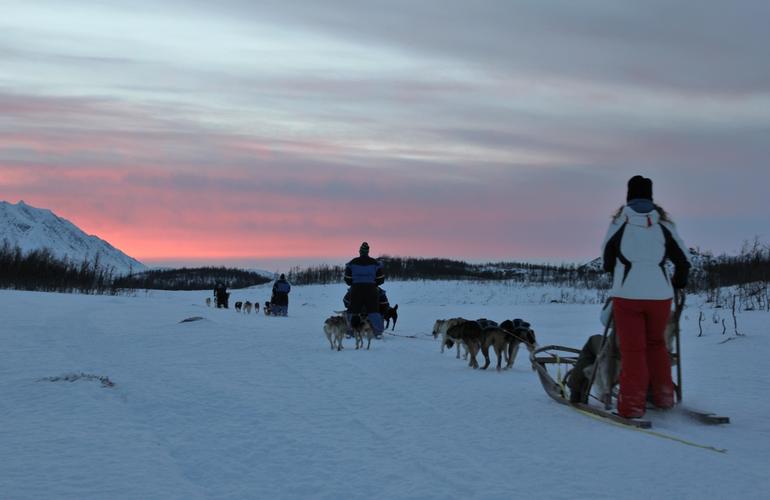 Sleddog nel Golf Club di Tromsø 