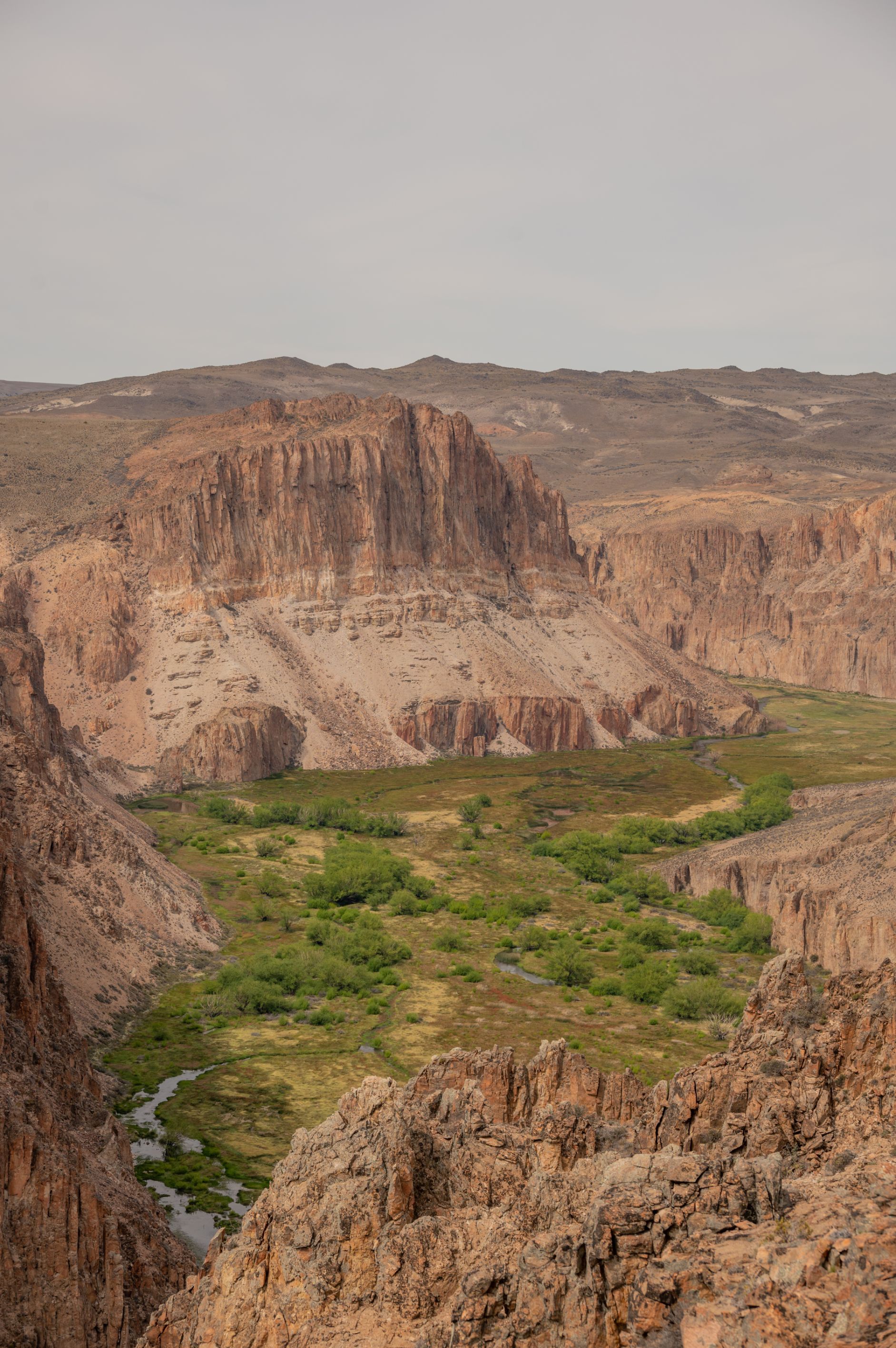 Un panorama a picco sul canyon di Pinturas, che si snoda attraverso il parco. Foto: Horacio Barbieri