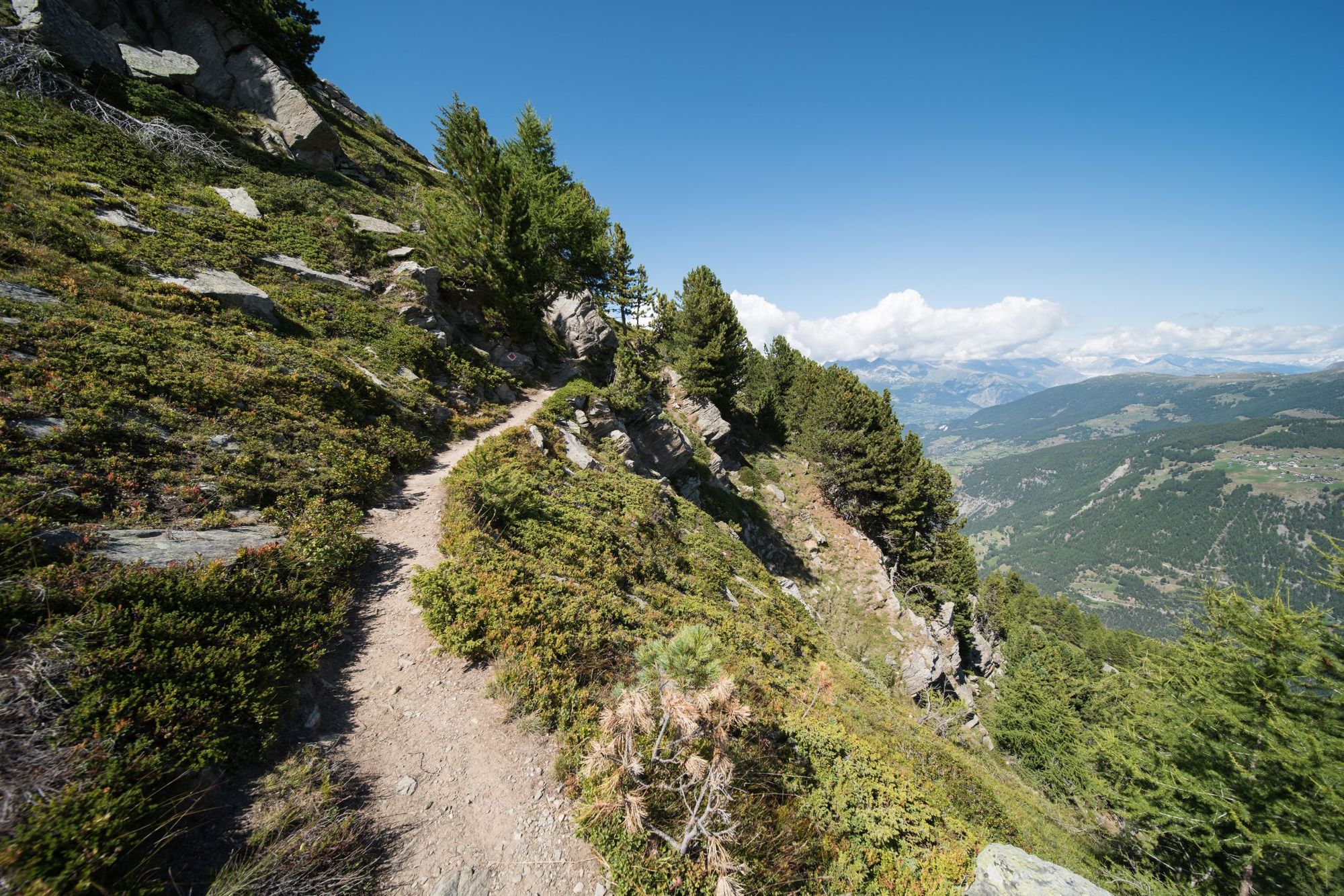 Un esempio del terreno e dei panorami sui sentieri di alta montagna sopra Grächen, nelle Alpi svizzere. Foto: Getty