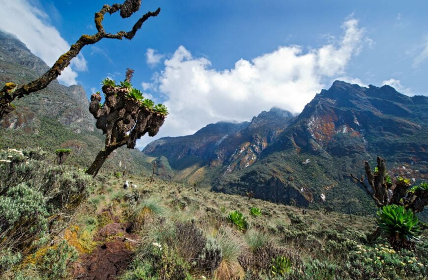 Le montagne della luna: Guida ai monti Rwenzori dell’Uganda