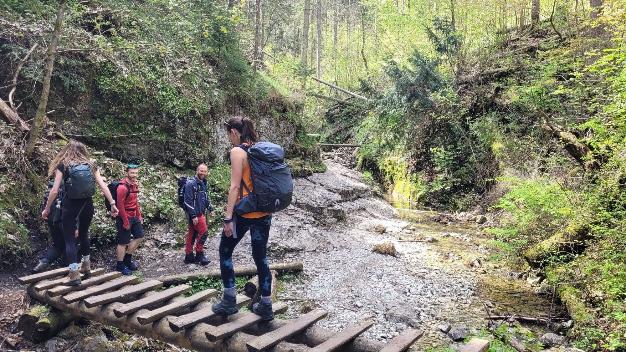 Una scala orizzontale all'inizio del percorso della Gola di Sucha Bela, nel Parco nazionale del Paradiso slovacco, in Slovacchia.