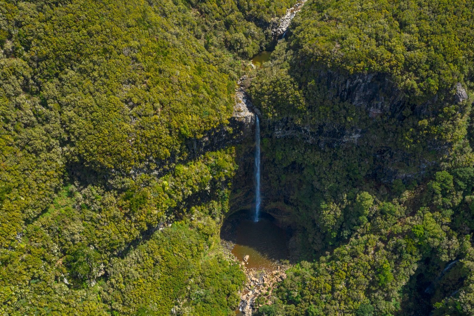 La cascata di Risco, situata nella foresta di Laurisilva, protetta dall'UNESCO, a Madeira.
