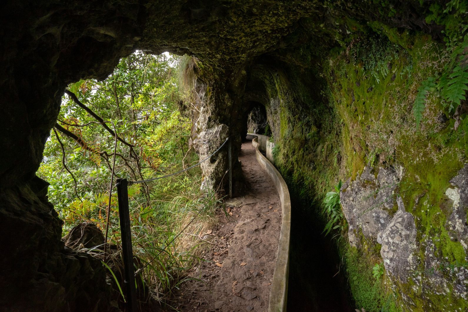 Un tunnel lungo il percorso della Levada do Furado, a Ribeiro Frio, Madeira